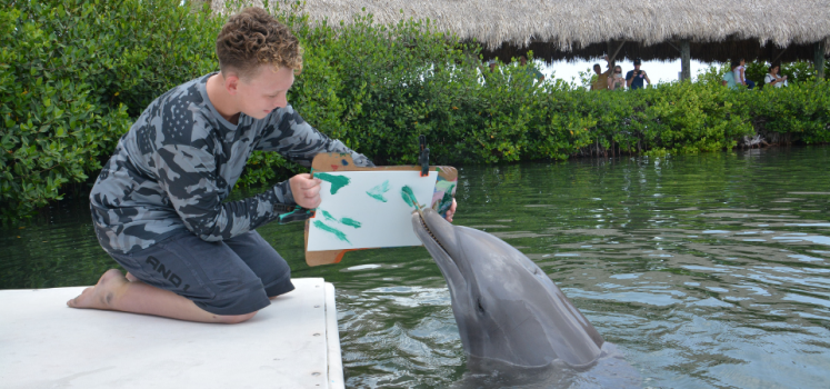 dolphin research center 